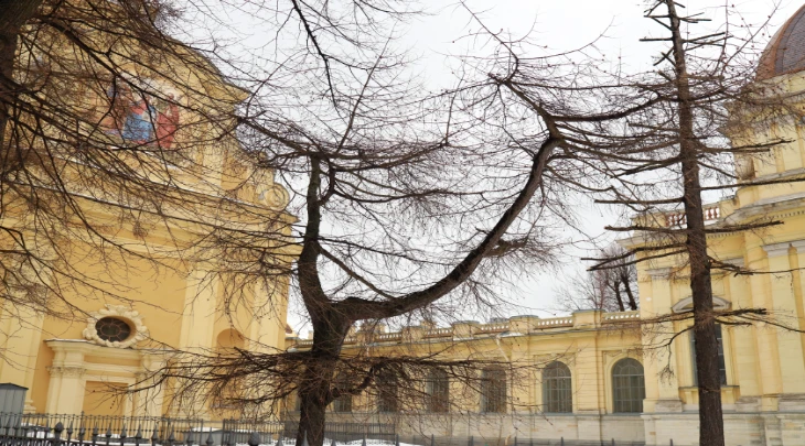 Saint Petersburg Fun and Sun 1